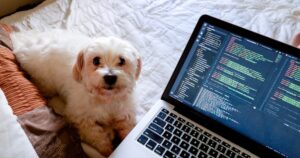 docker basics guide 2025 optimized