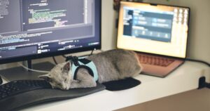 vscode extensions 2025 optimized