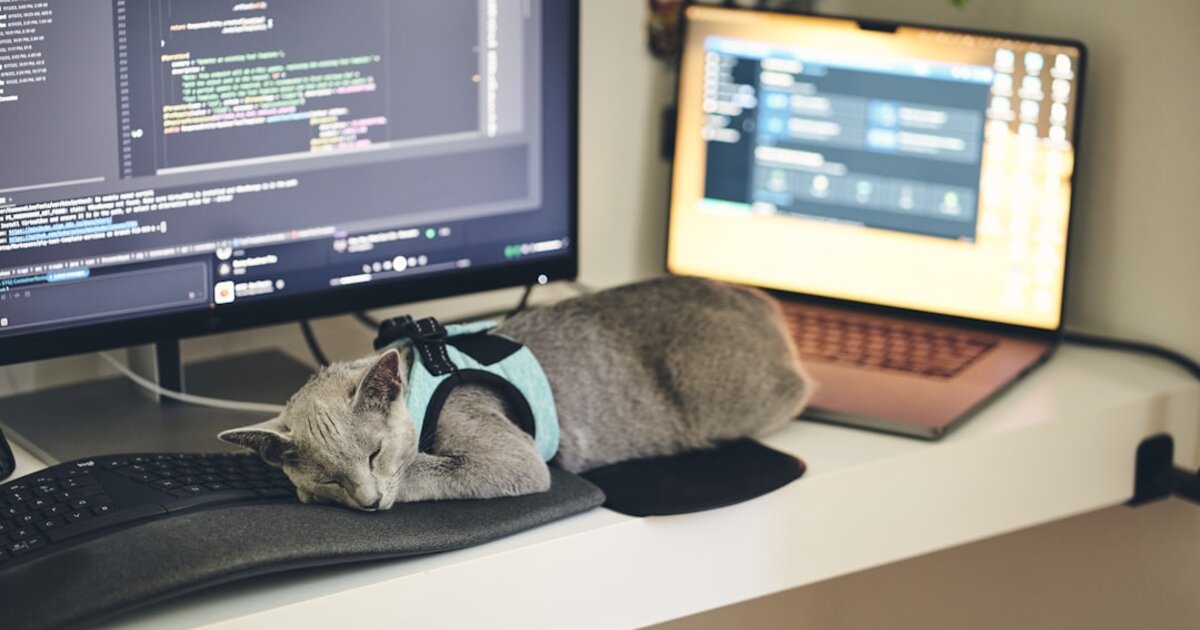 vscode extensions 2025 optimized